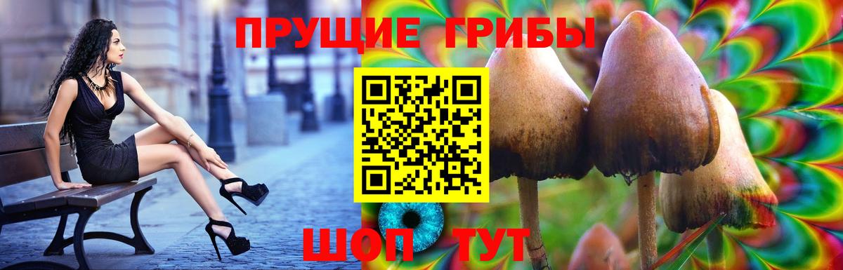 Галлюциногенные грибы Psilocybine cubensis  Вход с VPN  Галлюциногенные грибы Magic Shrooms  Торжок 